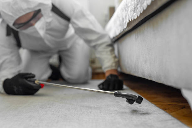 Professional Emergency Pest Control technician working in Greenwood Village, CO